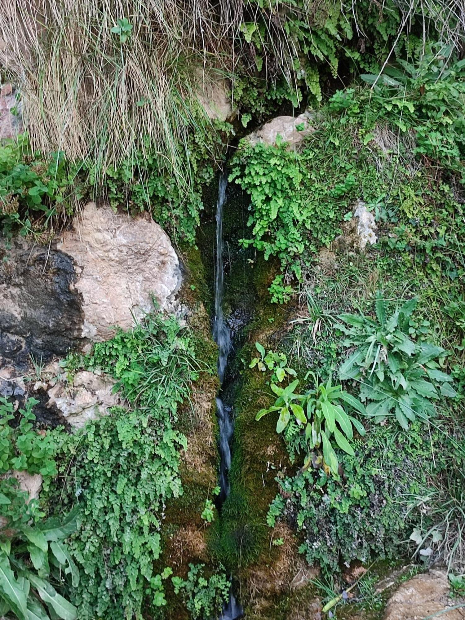 El Canton Bogarra Exterior foto