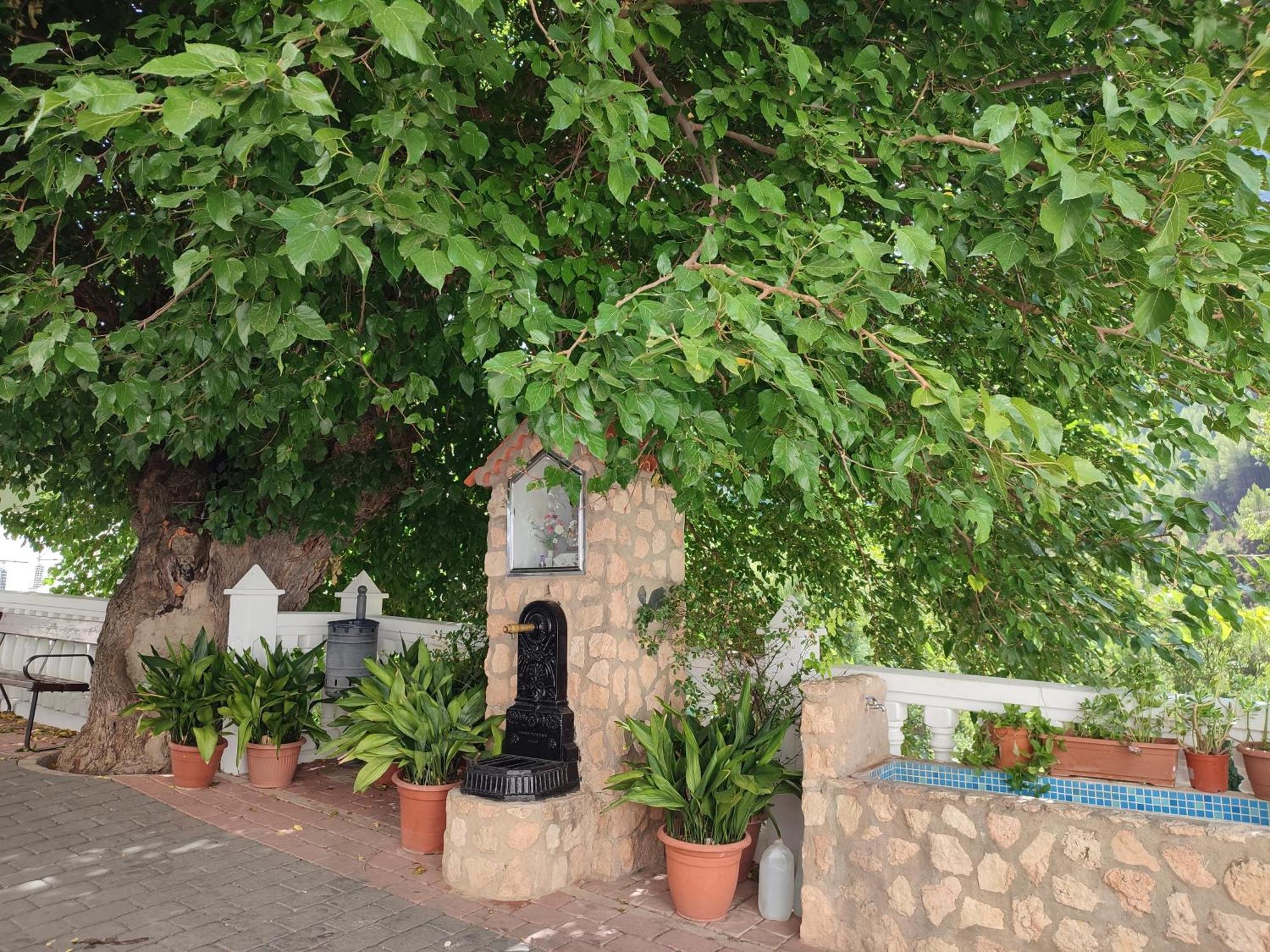 El Canton Bogarra Exterior foto